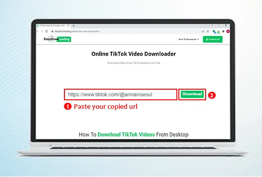 TikTok Video Downloader Online